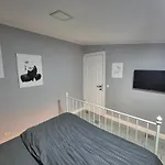 Bella Luxury Penthouse With Outside Jacuzzi And Barbecue Area شقة كرايوفا